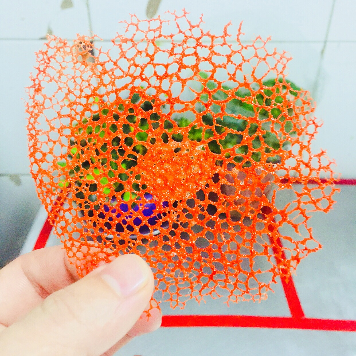 1522217667916570.jpg?x-oss-