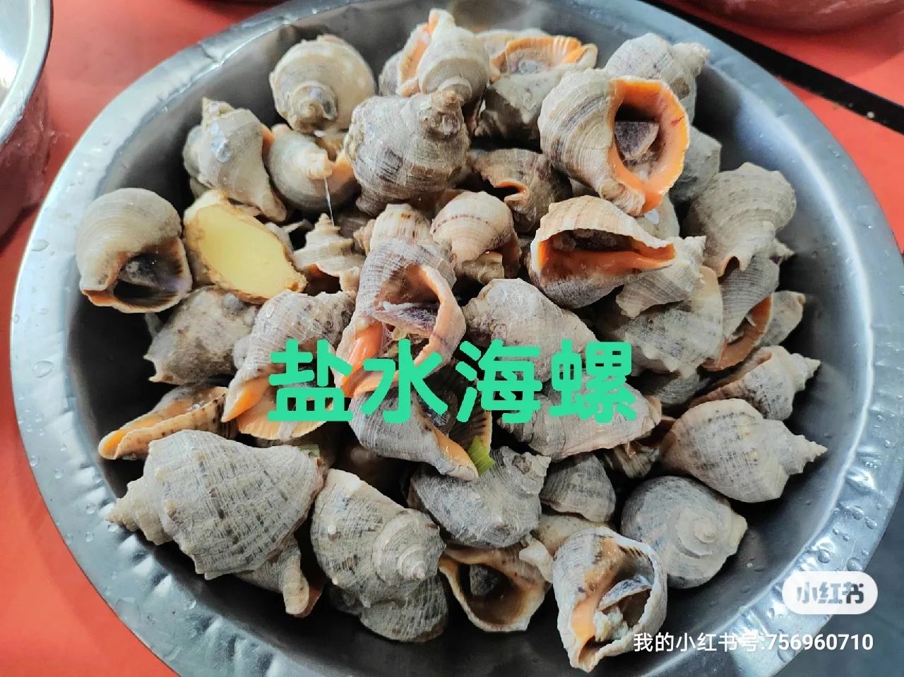 海螺専用 螺鈿で鯨（くじら）を描いた海皿／漆絵で色彩豊かないるかの海皿