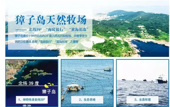 图片5.png