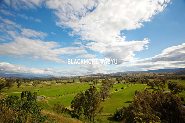 blackmore-wagyu-farm.jpg
