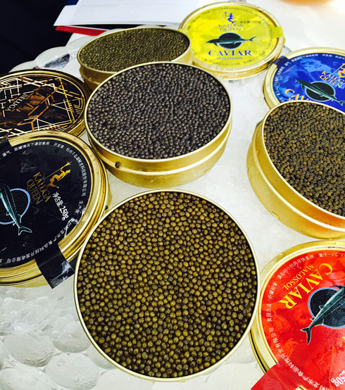 五种鱼子酱.jpg