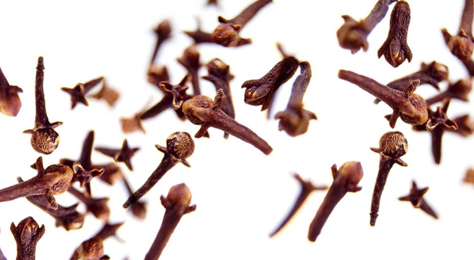 xl_5127_TP-cloves.jpg