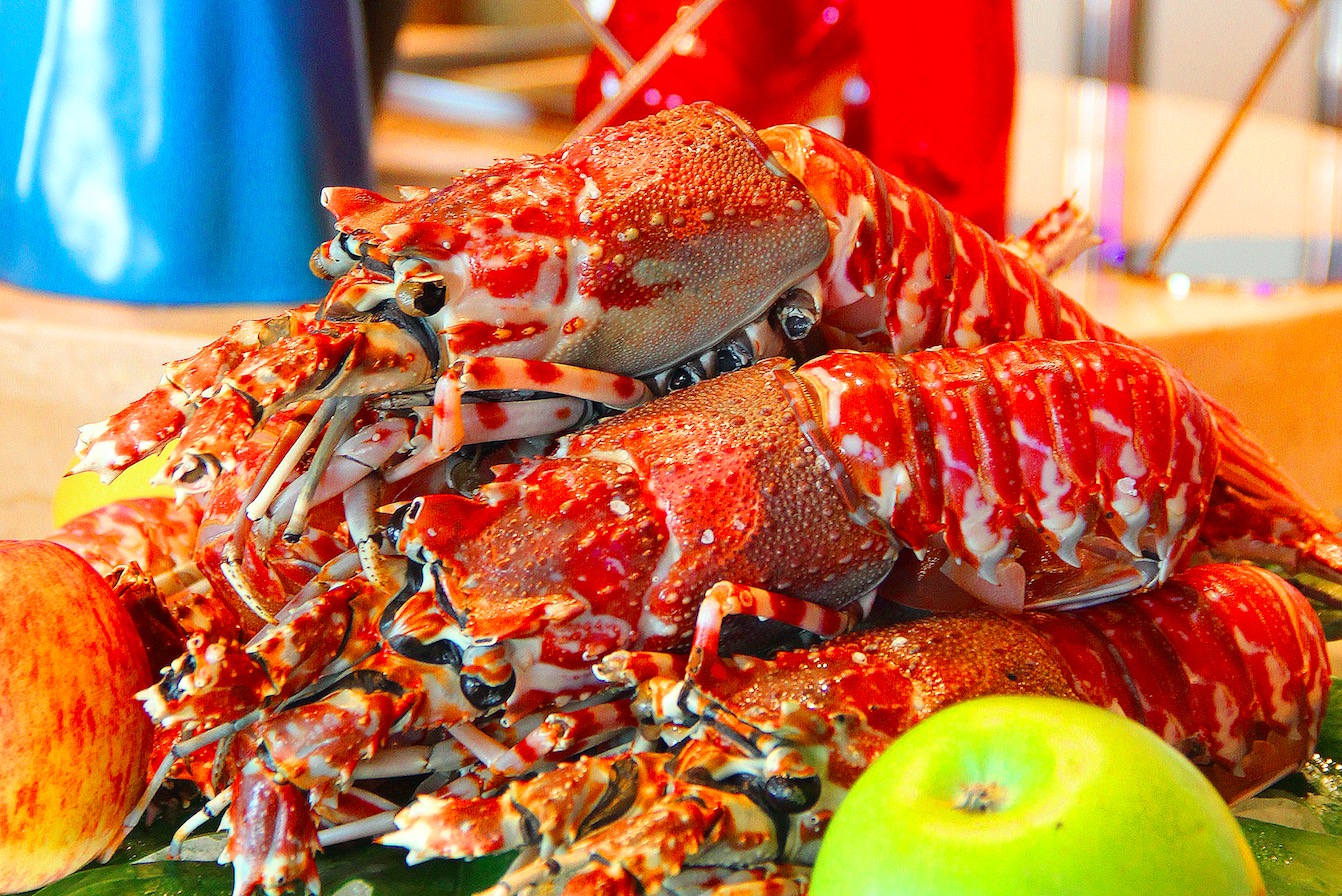 屏幕快照 2016-12-14 上午9.48.37.jpg