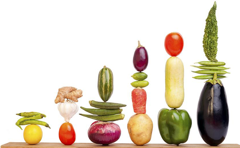 2017食物趋势-设计图备选 (1).jpg