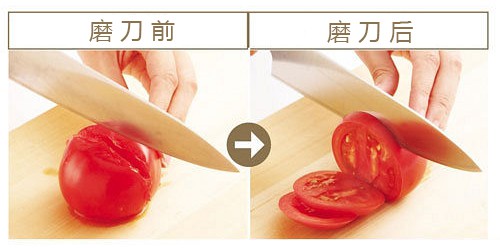 402526f2-500 copy.jpg