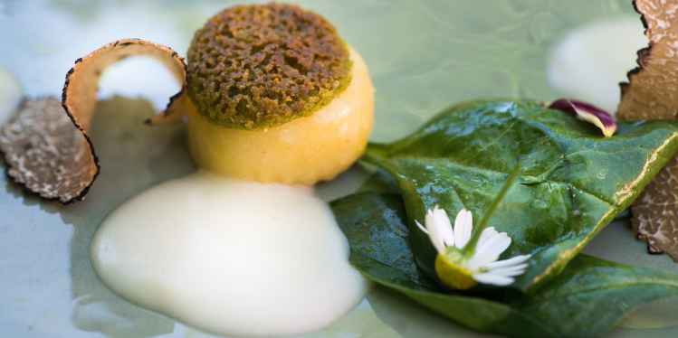 Gnocchi with herbs, garlic sauce and black truffle 2.jpg