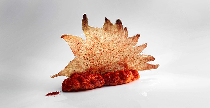 8-Mugaritz_CombCoralBiscuit-Comb and coral biscuit by chef Adoni Luis Aduriz.jpg