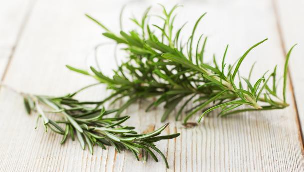 rosemary_16x9.jpg