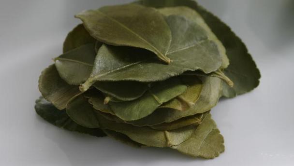 bay_leaf_16x9.jpg
