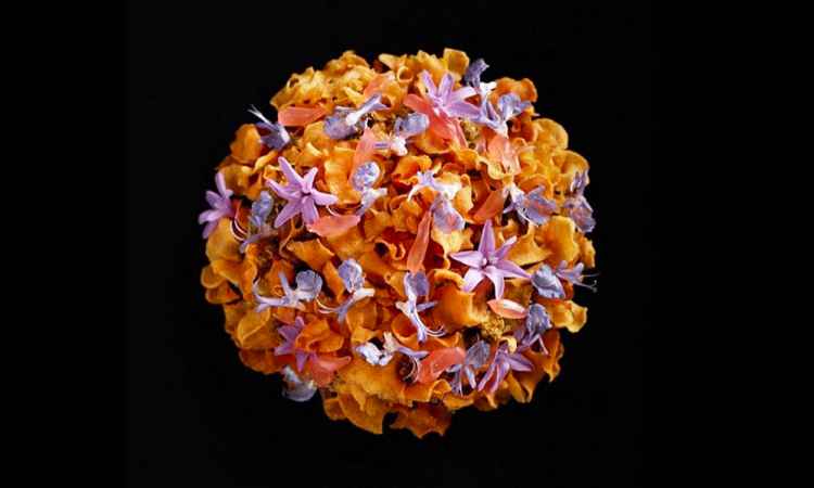 21婚礼花球Spanner crab.jpg