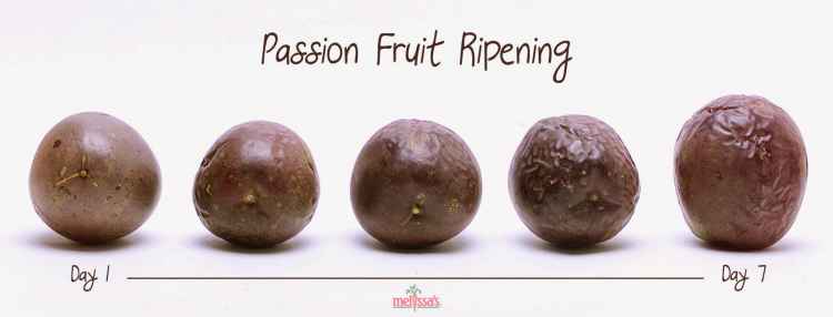 passion-fruit-ripening.jpg