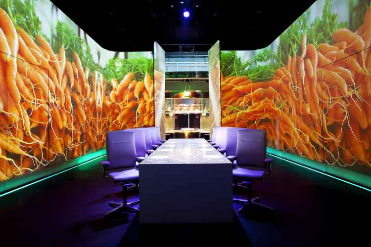 sUV ROOM-CARROT photo Scott Wright.jpg