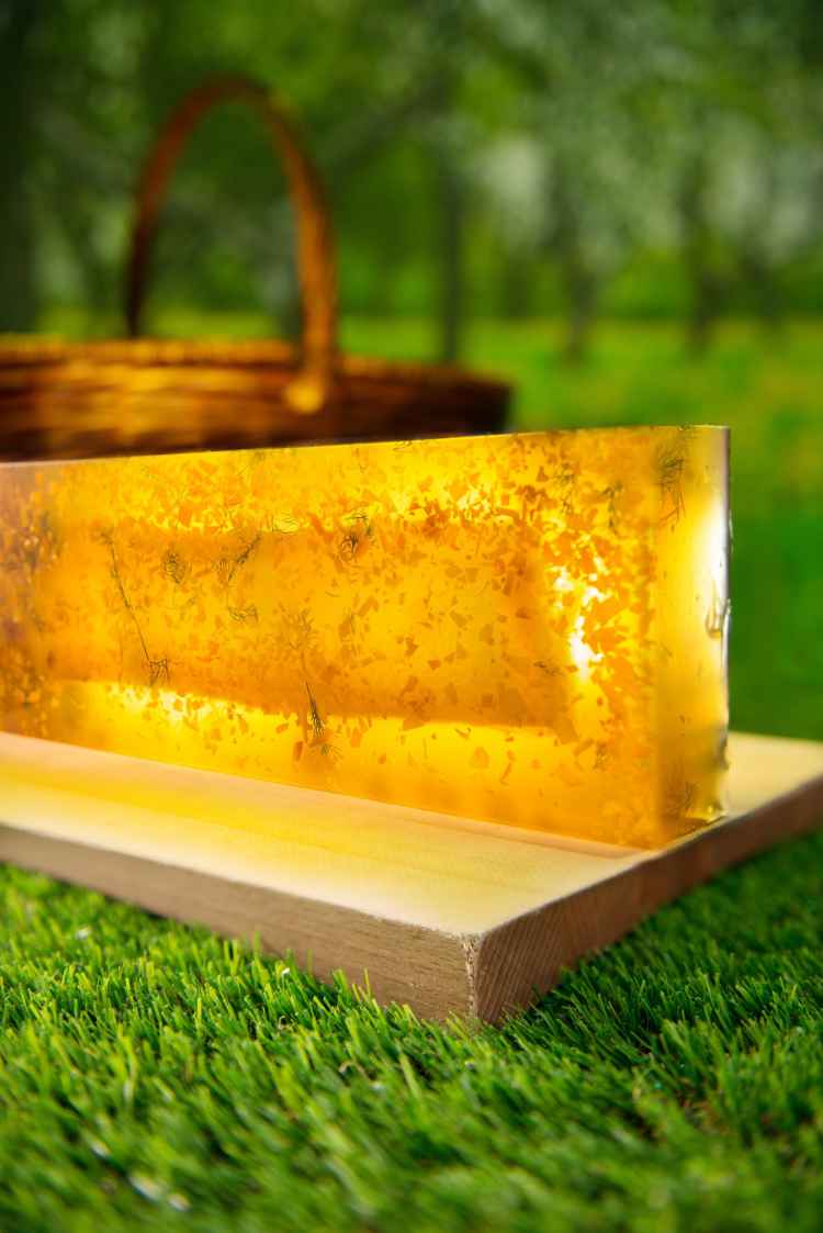 sUV FOOD-BLACK COD %22TUPPERWARE%22 photo Scott Wright.jpg