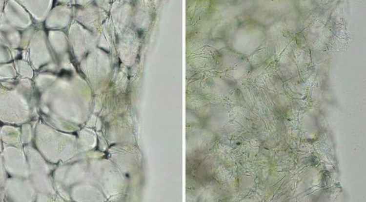 屏幕快照 2017-07-31 下午1.48.23.jpg
