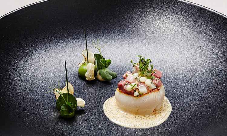 02斜三角Jacob mussel.jpg