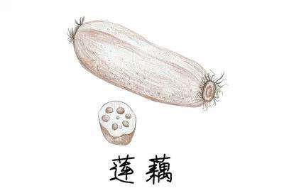 莲藕.jpg