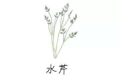 水芹.jpg