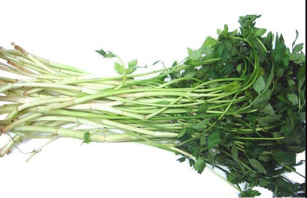 屏幕快照 2017-08-24 上午12.56.47.jpg