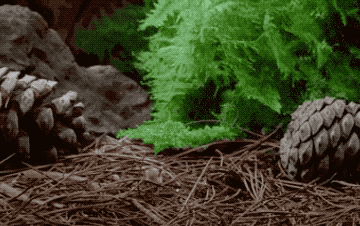 2017-09-07 19_26_36.gif