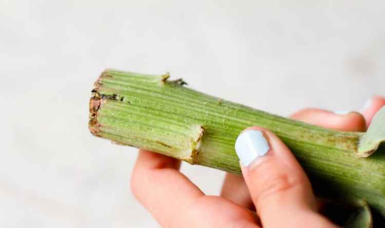 屏幕快照 2017-10-16 下午5.47.31.jpg