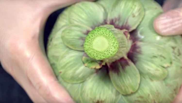 屏幕快照 2017-10-16 下午5.52.30.jpg