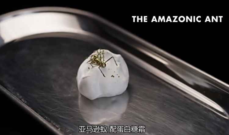 屏幕快照 2017-11-14 下午5.40.52.jpg