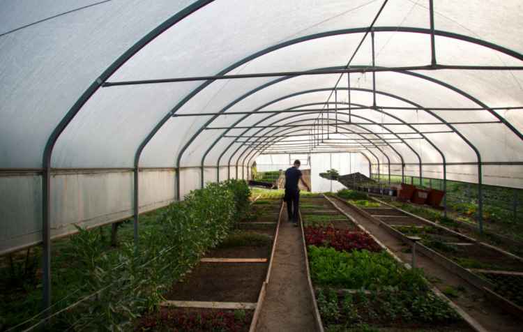 屏幕快照 2017-12-04 下午5.29.53.jpg