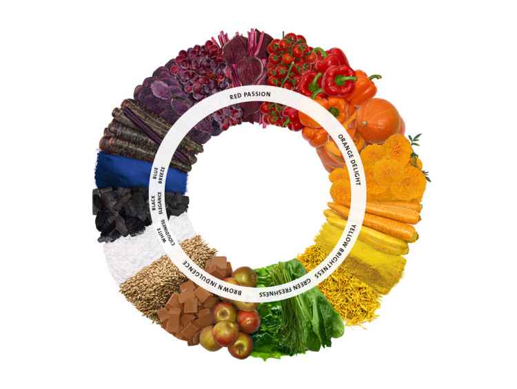 cnt-natuerliche-farben-wheel.jpg