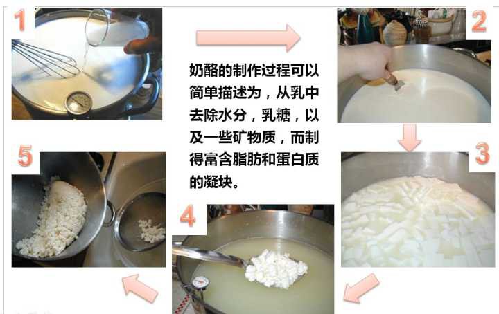 奶酪制作步骤.jpg