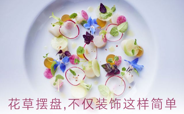 花草WechatIMG8.jpg