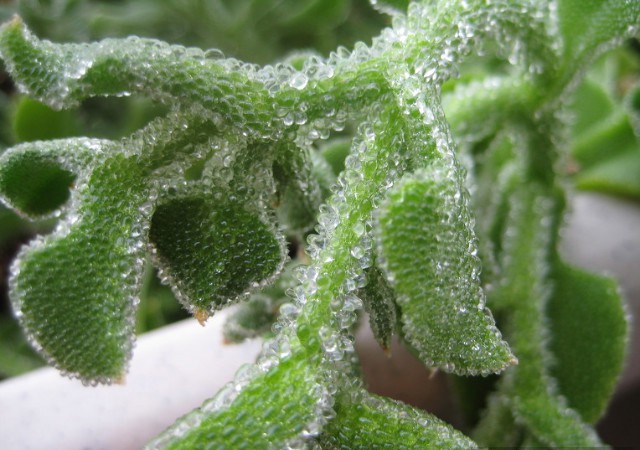 1519702758937086.jpg IMG_6685.jpg