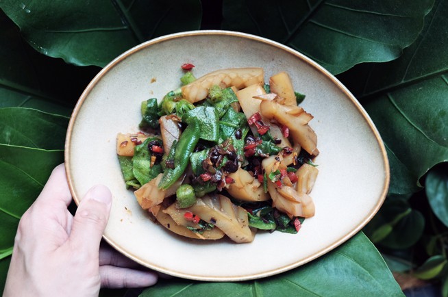 1519702939715661.jpg iceplant-article-image4 (1).jpg