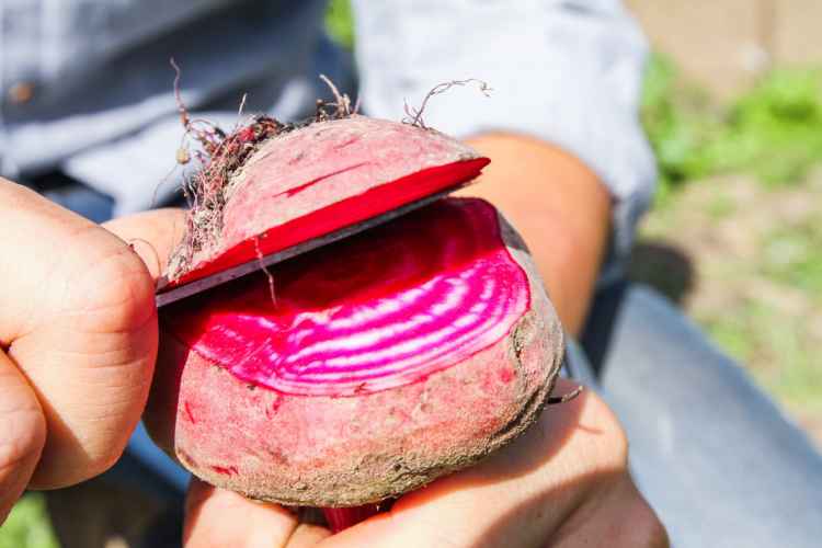 1520325344790392.jpg page_1517585302xdlfsk92_m.jpg