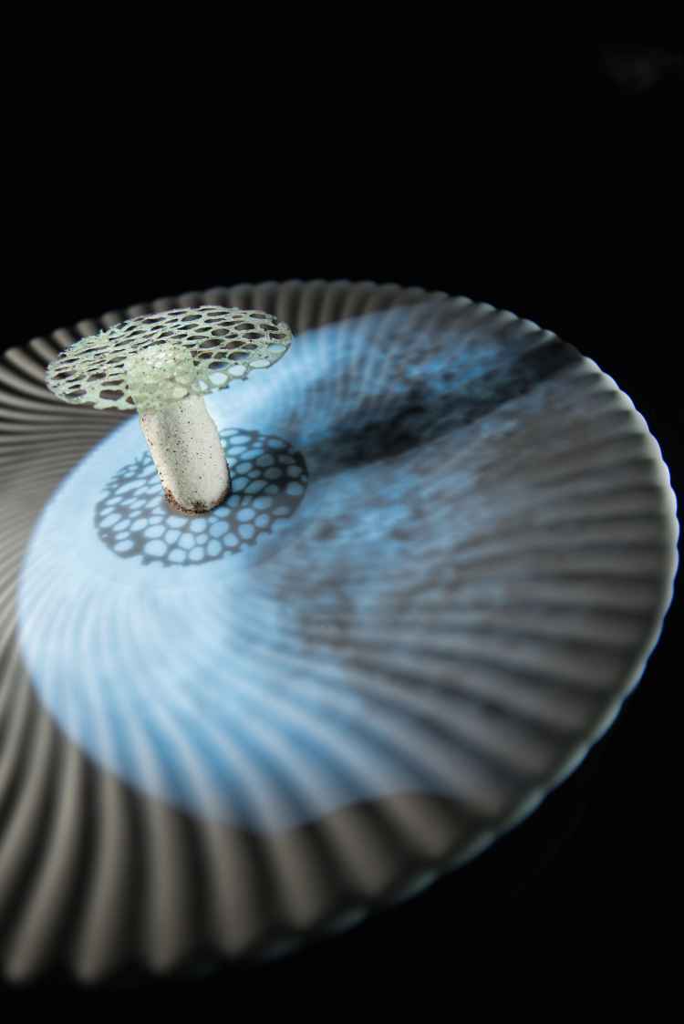 UV FOOD-LUNAR MUSHROOM photo Scott Wright.jpg