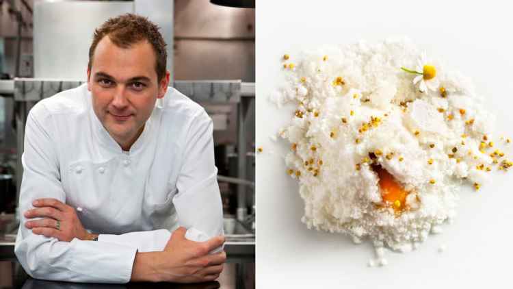 1523598224330800.jpeg hummlead_xtcezo.jpeg