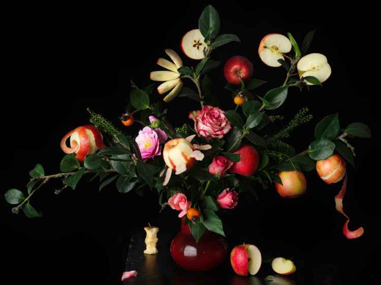 1524713832569449.jpg pink-lady-food-photography-awards-2018-apple-FT-BLOG0418.jpg