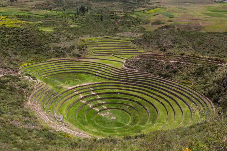Moray.jpg