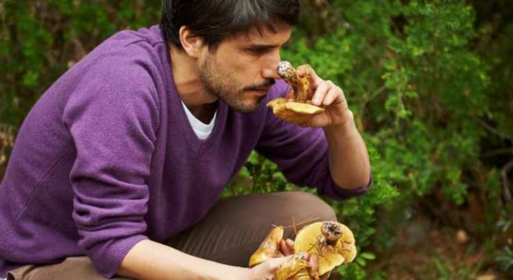 virgilio_martinez-mushrooms.jpg