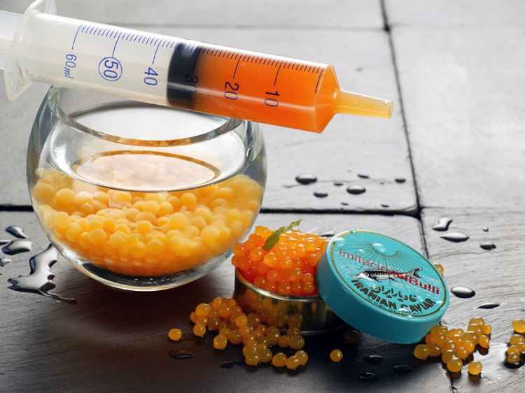 original_original-el-bulli-caviale.jpg