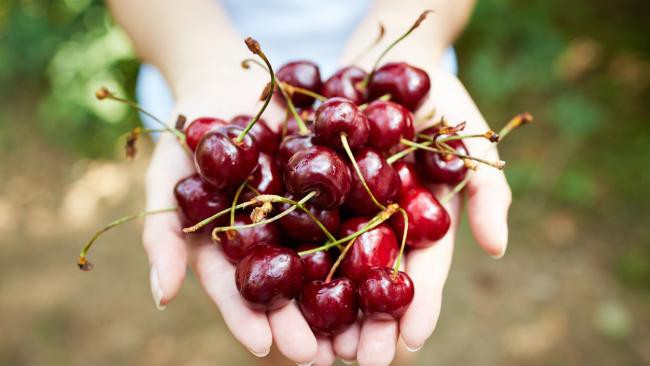 Cherry-gout.jpg