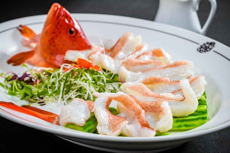 Steamed east spotted grouper fish_ Yilongcourt.jpg
