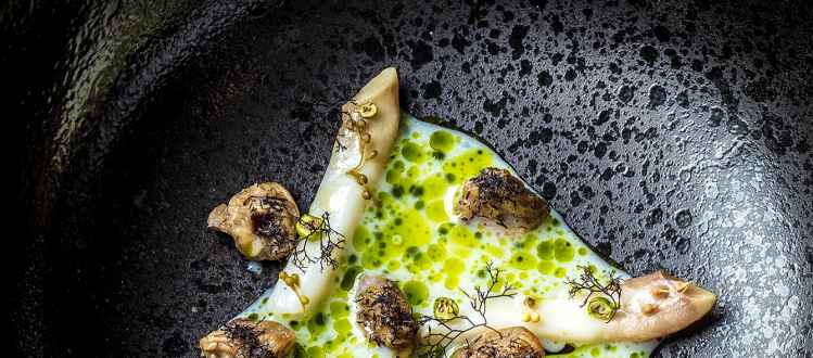 00appetitt-2.jpg