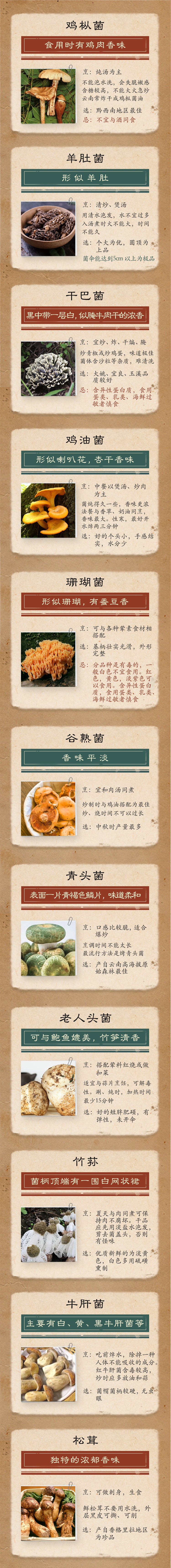 菌菇文章.jpg