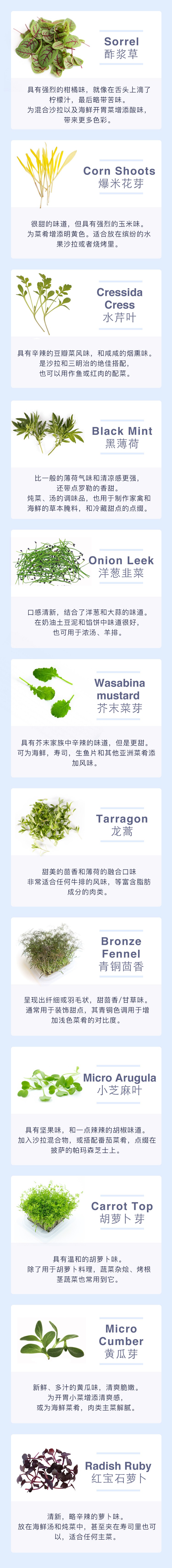 内文图.jpg