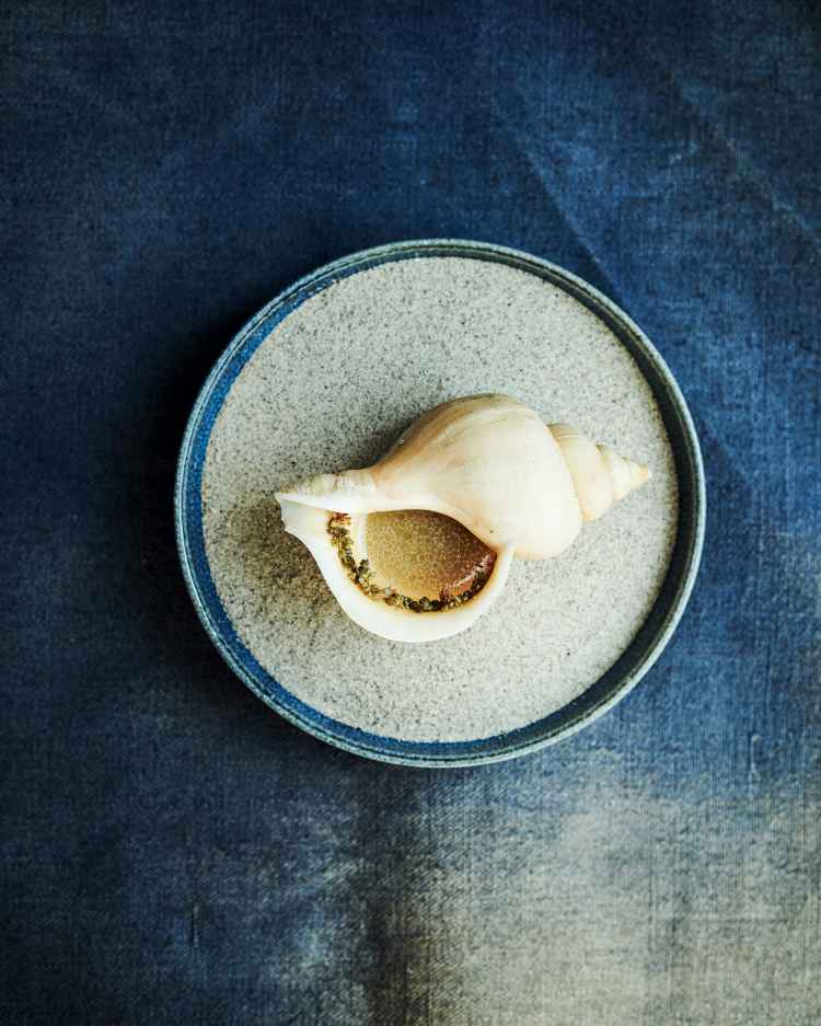 25noma-superJumbo.jpg