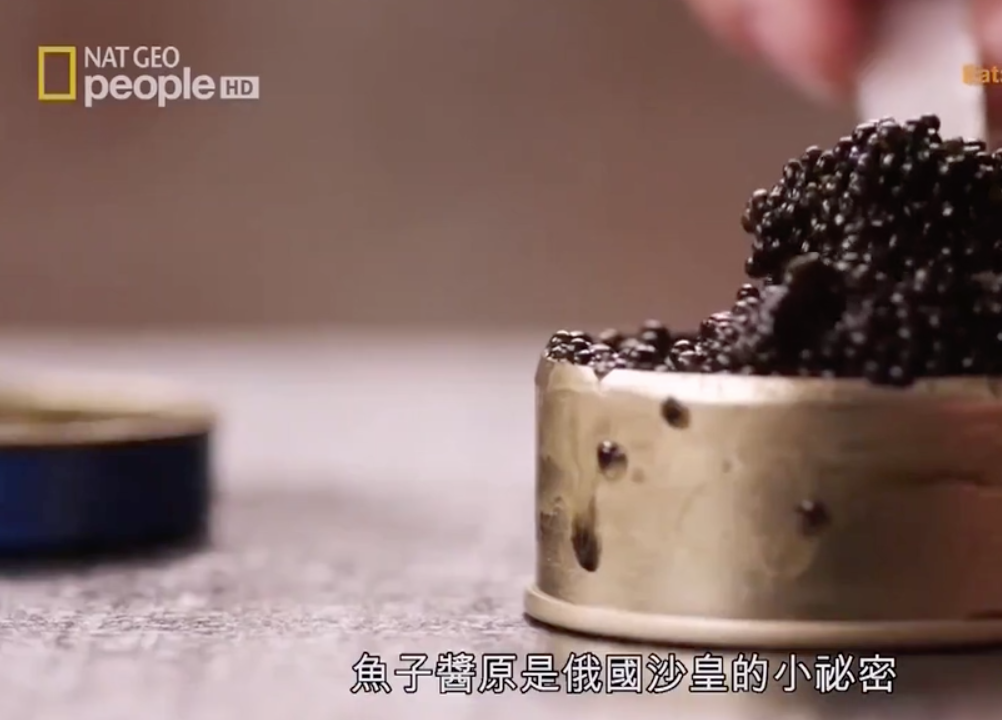 《为食之故》中关于鱼子酱的介绍.png