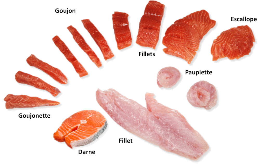 Fish+Cuts.gif