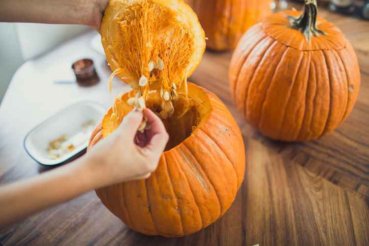 挖南瓜Pigment_Halloween.jpg