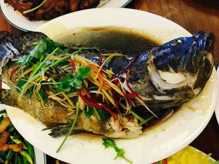 timg清蒸石斑鱼.jpg