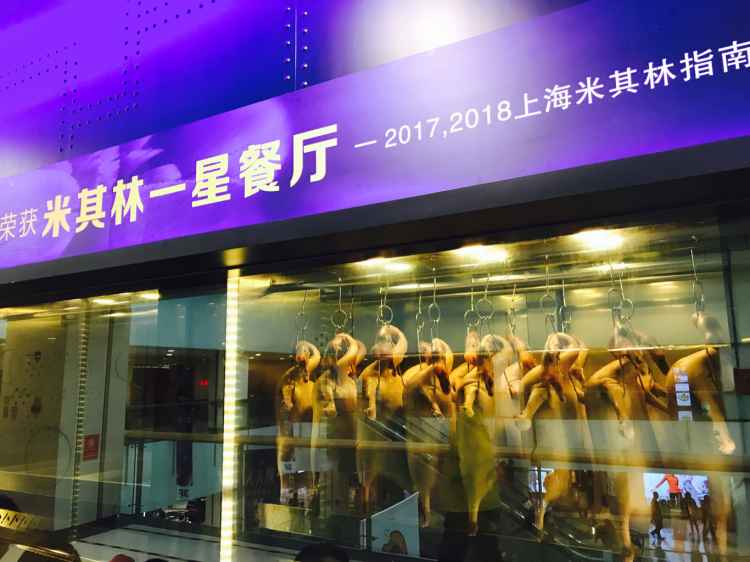 米其林.jpg